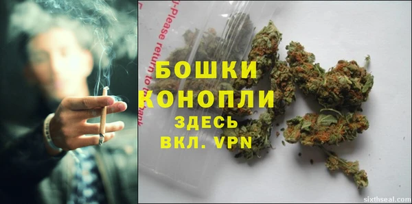 мяу мяу мука Вязьма