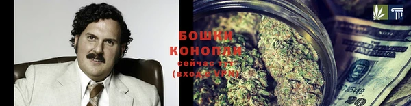 крисы Вяземский