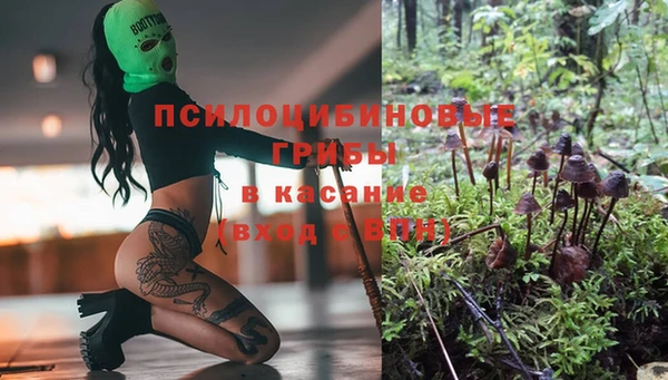 прущие крисы Волосово
