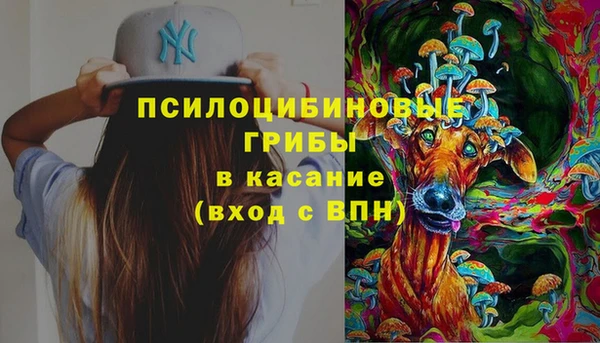 мяу мяу мука Вязьма