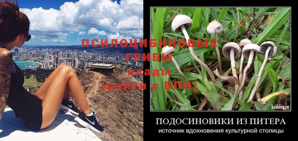 крисы Вяземский