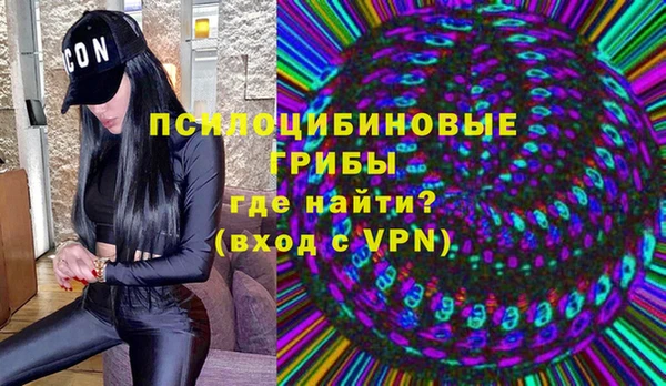 мяу мяу мука Вязьма