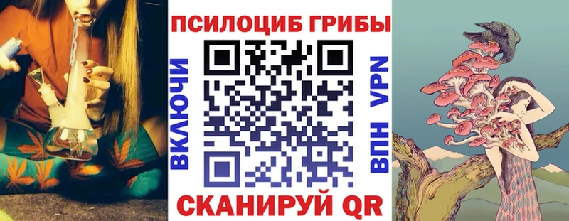 ОМГ ОМГ зеркало  Черемхово  Псилоцибиновые грибы прущие грибы 